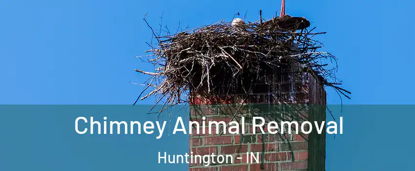  Chimney Animal Removal Huntington - IN