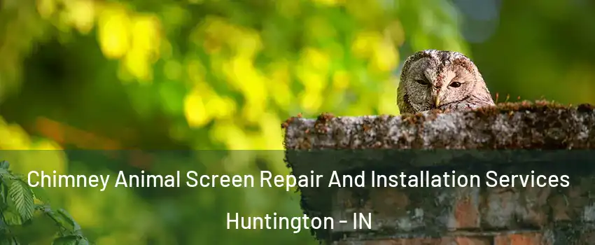  Chimney Animal Screen Repair And Installation Services Huntington - IN