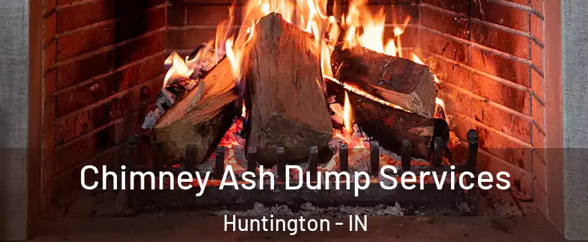 Chimney Ash Dump Services Huntington - IN