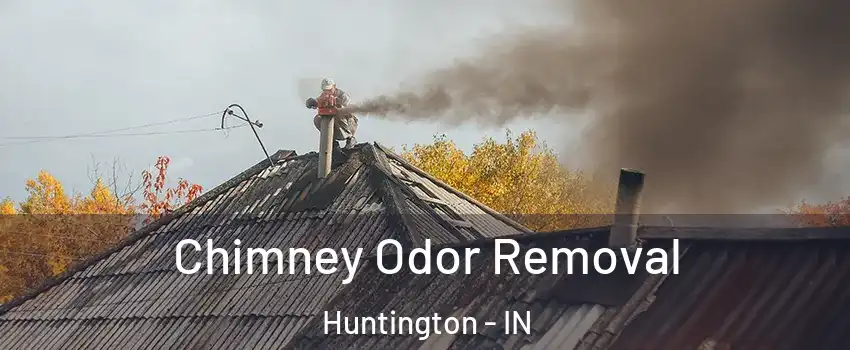  Chimney Odor Removal Huntington - IN