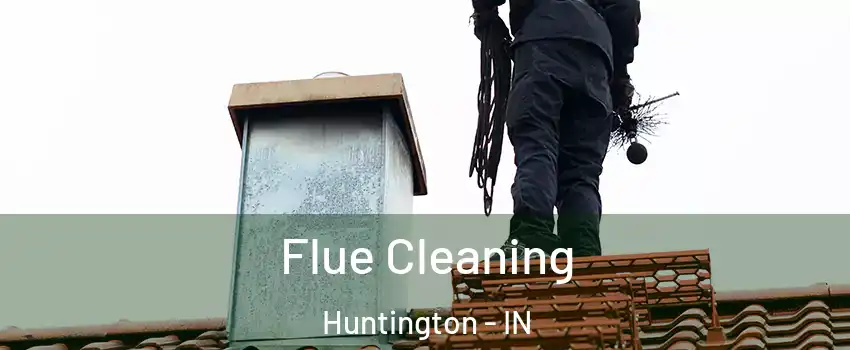  Flue Cleaning Huntington - IN